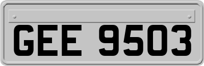 GEE9503