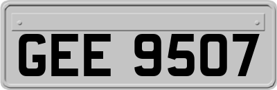 GEE9507