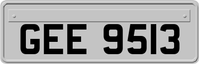 GEE9513