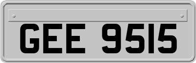 GEE9515