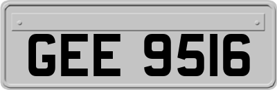 GEE9516