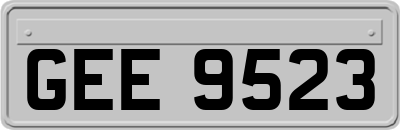 GEE9523