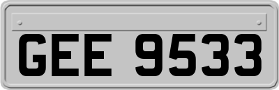 GEE9533