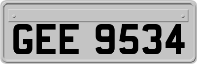GEE9534