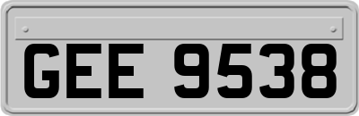 GEE9538