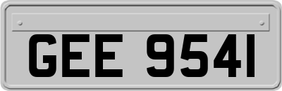 GEE9541