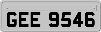 GEE9546