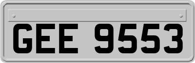 GEE9553