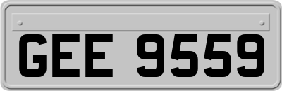 GEE9559