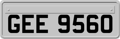 GEE9560