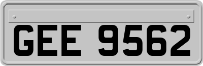 GEE9562