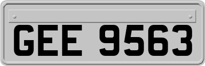 GEE9563