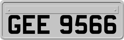 GEE9566