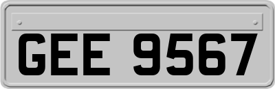 GEE9567