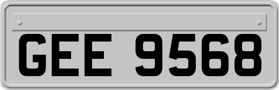 GEE9568