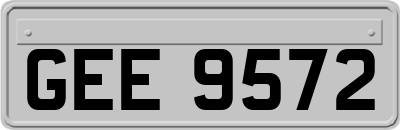 GEE9572