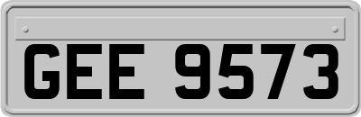 GEE9573