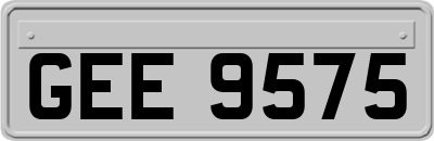 GEE9575