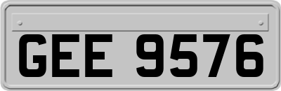 GEE9576