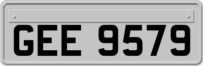 GEE9579