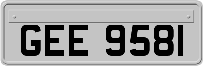 GEE9581