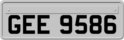 GEE9586