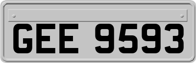 GEE9593