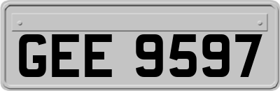 GEE9597