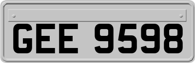 GEE9598