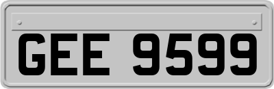GEE9599