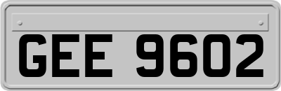 GEE9602