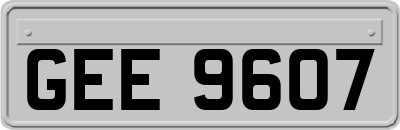 GEE9607