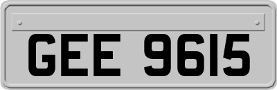 GEE9615