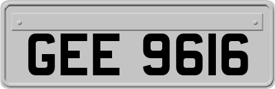 GEE9616