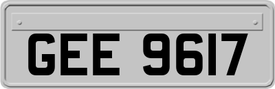 GEE9617