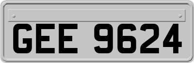 GEE9624