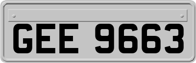 GEE9663