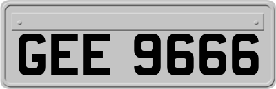 GEE9666