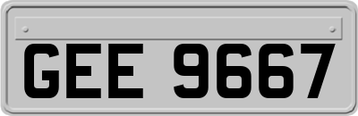 GEE9667