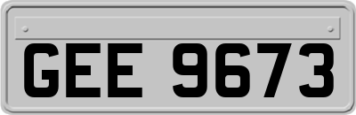GEE9673