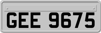 GEE9675
