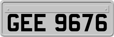 GEE9676