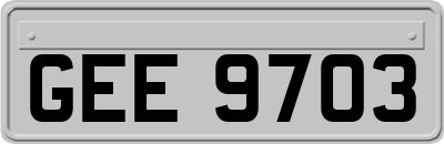 GEE9703