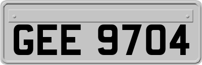 GEE9704
