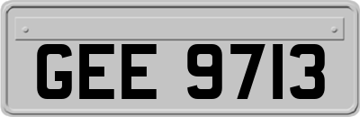 GEE9713