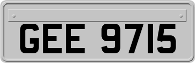 GEE9715
