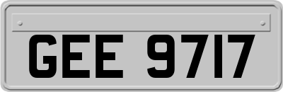 GEE9717