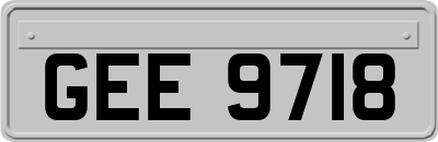GEE9718