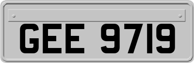 GEE9719