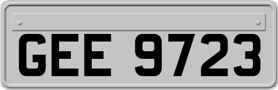 GEE9723